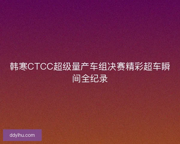韩寒CTCC超级量产车组决赛精彩超车瞬间全纪录