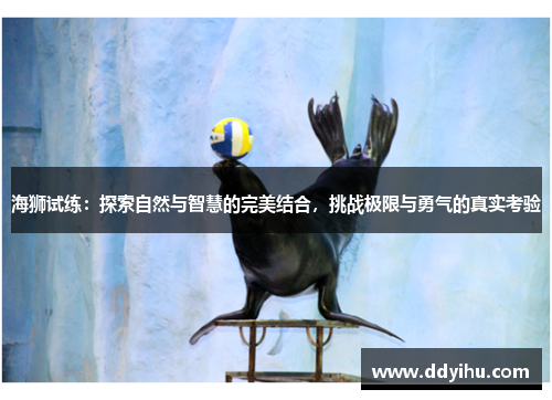 海狮试练：探索自然与智慧的完美结合，挑战极限与勇气的真实考验