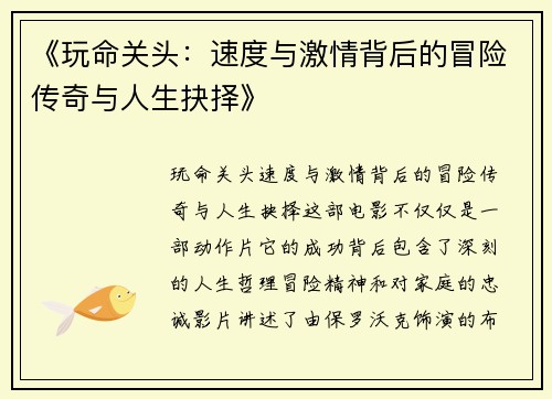 《玩命关头：速度与激情背后的冒险传奇与人生抉择》